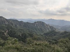 -大岭沟猕猴桃谷风景区