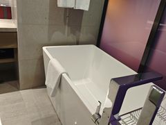 -南京禄口机场雅高铂尔曼大酒店