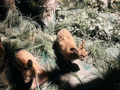 -大连自然博物馆