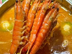 -禄婶鸡煲·打边炉