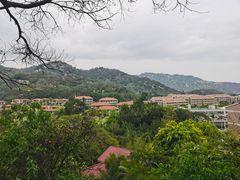 -厦门国家会计学院