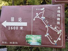 -苏木山森林公园