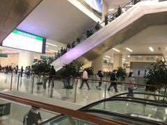 -中国人民解放军总医院