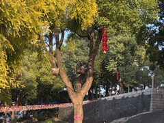 -船政文化景区-罗星塔公园