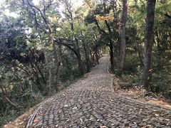 -苏州上方山国家森林公园