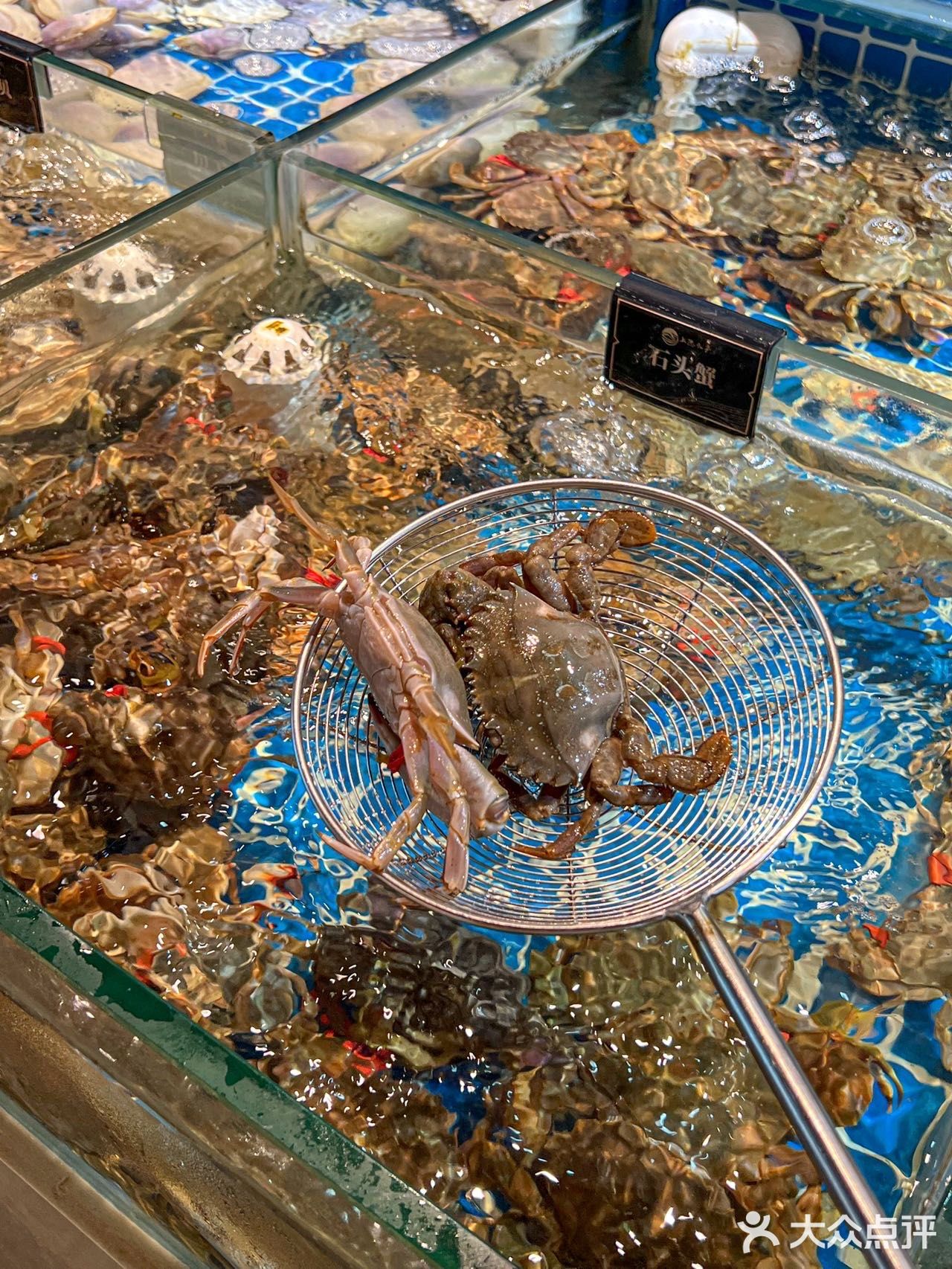 在上海～反复愿意多次打卡的海鲜自助餐～ 