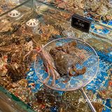 在上海～反复愿意多次打卡的海鲜自助餐～ 