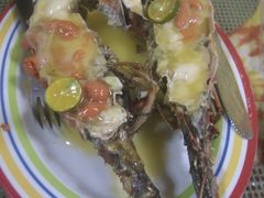 红龙-D'Talipapa
