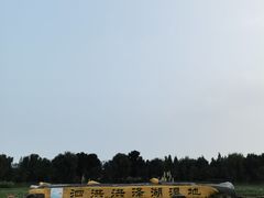 -泗洪洪泽湖湿地景区