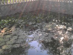 -长泰漂流水陆空景区