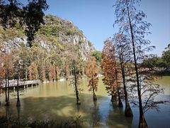 -星湖旅游景区七星岩