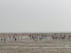 -刘家湾赶海园