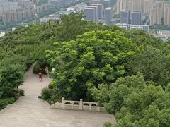 -杭州半山国家森林公园