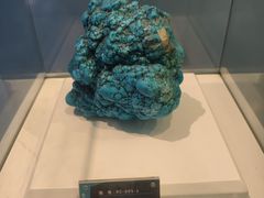 -金钉子远古世界景区