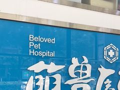 -萌兽医馆·宠物医院·猫骨科(创景店)