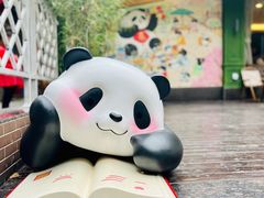 -轩客会(熊猫书店)
