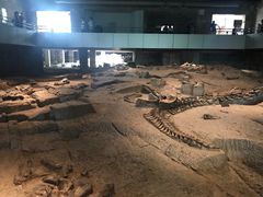-自贡恐龙博物馆