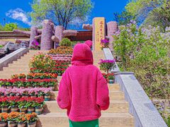 -百里山水画廊-恐龙游乐园