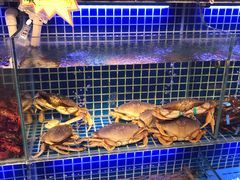 水产区-必点海鲜·鲅鱼水饺(鞍山西道店)
