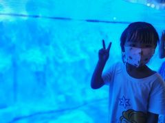 -芜湖新华联大白鲸海洋公园