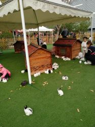 -萌宠亲子动物乐园(槐房万达店)