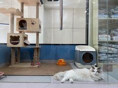 -凯瑞希宠物医院·狂犬免疫·微创·皮肤科