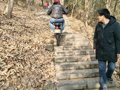 -紫金山山顶公园