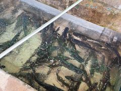 -姥家大锅台水库渔家