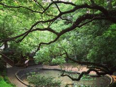 iphone_upload_pic-香港大学