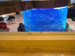 -OPEN開全日自助餐厅·牛肉火锅·海鲜(佛山希尔顿酒店)