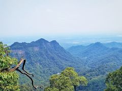 -青城山