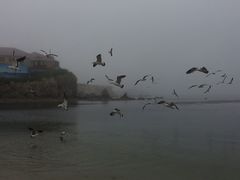 -石槽海滨浴场