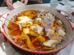 -蜀龙阁· 龍头水煮鱼(天坛店)
