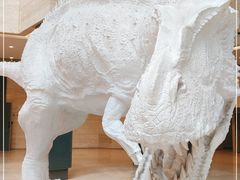 -重庆自然博物馆(新馆)