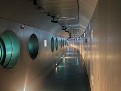 -白鹤梁水下博物馆