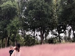 -南湖湿地公园