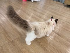 -iF摄影•全家福•证件照•形象照(南山店)