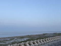 -南汇嘴观海公园