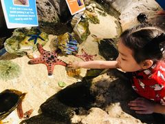 -悉尼海洋生物水族馆