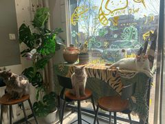 -平行世界·猫咖(首经贸店)