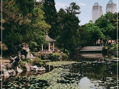 -叶家花园