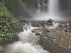 -莫里热带雨林景区