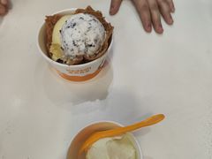 -iceason爱茜茜里·意大利健康冰淇淋(骑龙巷店)