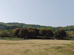 -苏州上方山国家森林公园