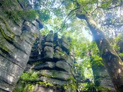-梭布垭石林景区