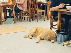-嘉州海汇源老烧麦店(东大街总店)