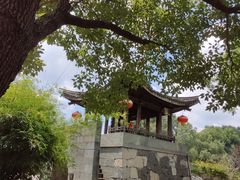 -知鱼轩