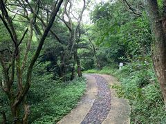 -普陀山风景区-佛顶山