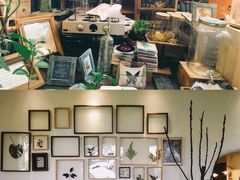 -懒鱼时光馆(沙坪坝店)