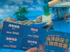 -海合安成都极地海洋公园